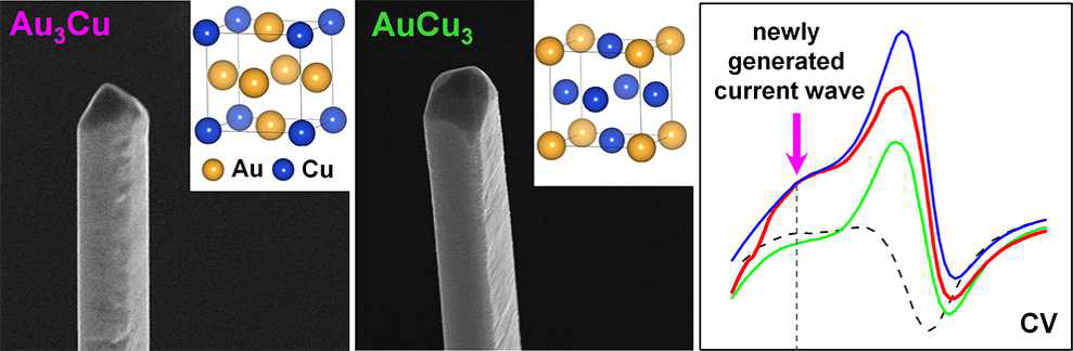 Cu 원자의 공급시간에 따라 intermetallic 구조로 합성되는 Au3Cu 나노선과 AuCu3 나노선. Au3Cu 나노선으로 제작된 나노전극은 아주 안정적으로 세포속의 글루코오스를 정확하게 검출할 수 있다