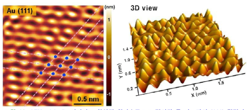 AFM stick-slip 이미지로 확인된 원자수준으로 정의된 금 나노판의 (111) 결정면