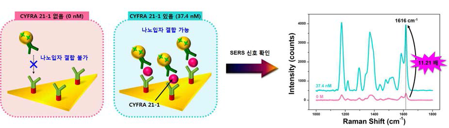 나노입자-나노판 하이브리드 센서를 이용해 37.4 nM의 CYFRA 21-1을 검출한 결과