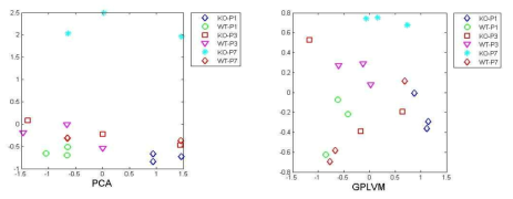 PKD1 마우스 모델 데이터를 기반으로 한 PCA 분석과 GPLVM 분석의 비교