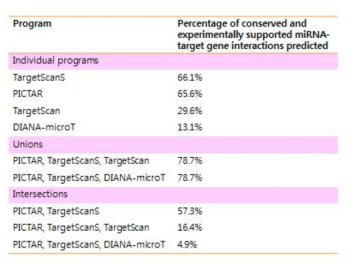 miRNA의 타겟 유전자 예측을 위한 프로그램의 타겟 예측도 비교