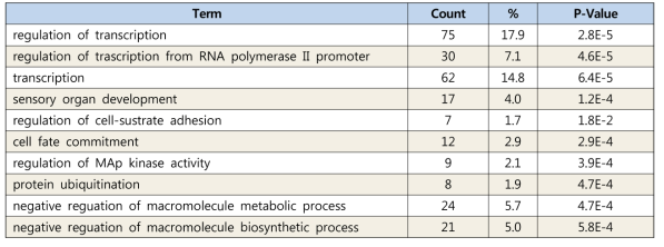 Gene Ontology 분석: Biological Process