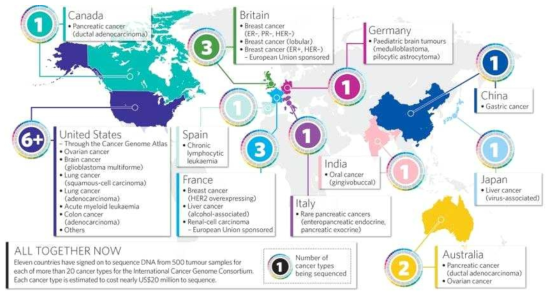 International Cancer Genome Consortium(ICGC)의 연구 프로젝트 참여 그룹 분포