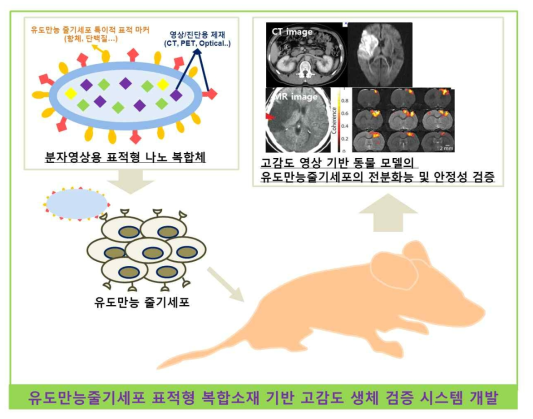 본 세부연구과제의 최종 목표 개념도