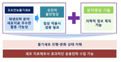 분자영상 기술을 통한 안정성 평가