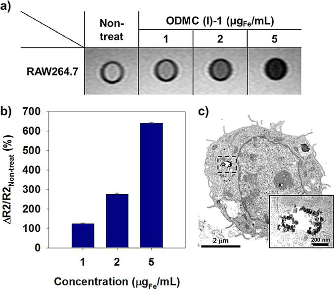 ODMC를 농도별로 처리한 세포의 a) MR 영상, b) 상대 이완율(relative relaxation rate, ΔR2/R2Non-treat,%), c) 매크로파지(raw264.7 cell) 단면 TEM 사진