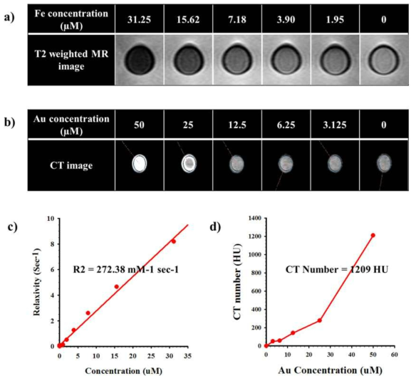 AuFe NPs의 농도에 따른 (a) T2 증강 MR 이미지, (b) CT 이미지 및 (c) (a)에서의 R2 그 래프, (d) (b)에서의 HU 그래프.