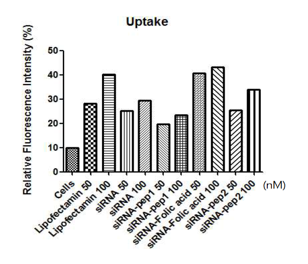 siRNA와 펩타이드, 소분자 물질의 접합체를 이용한 세포 흡수 효율 비교