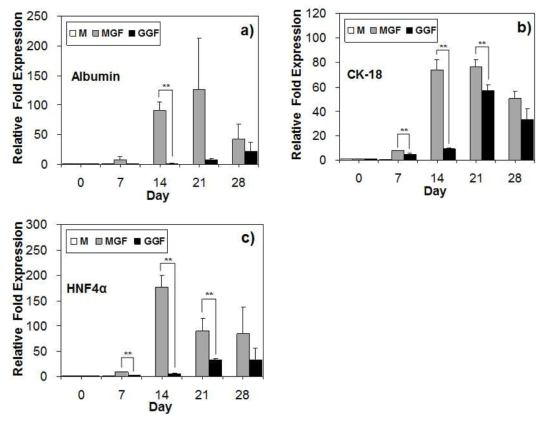 mRNA expressions for albumin (a), CK-18 (b), and HNF4α (c) of 3D cultured TMSCs in the PEG-L-PA thermogels.