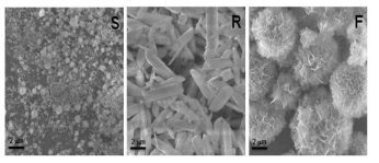 SEM images of calcium phosphate. S indicates calcium phosphate nano particles as received from Sigma-Aldrich