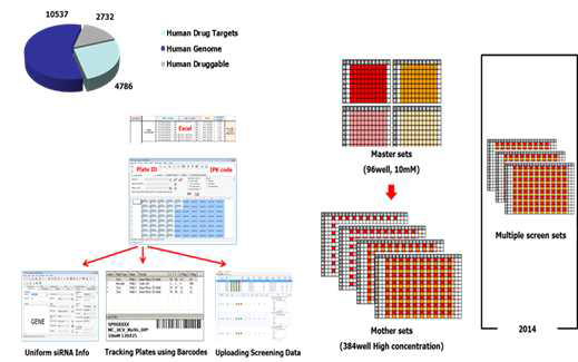 Well based siRNA 라이브러리 스크리닝 관리.