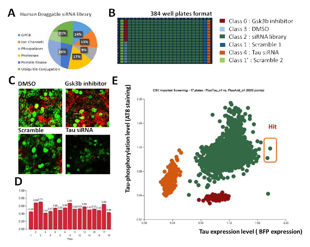 초고속 대용량 RNAi 스크리닝