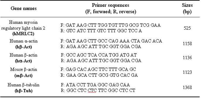 Primers for RT-PCR