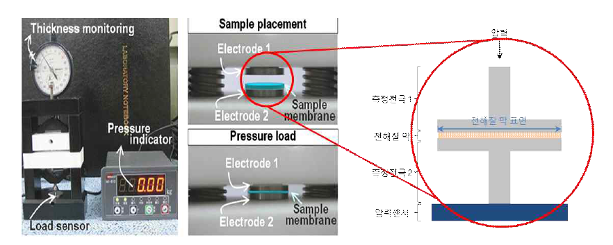 두께 방향 전도도 측정장치 및 방법