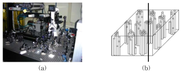 (a) GIST 고등광기술연구소의 레이저 광원 시스템 (중적외선 영역의 펨토초 순간흡수 분광장비)와 (b) 전기장 하에서 극성 고분자의 분자배열 개략도