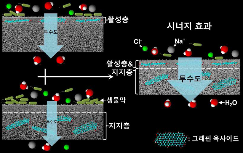 그래핀 옥사이드 (GO) 첨가로 인한 효과