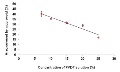 PVDF 농도에 따른 단면의 거대기공 면적 비율