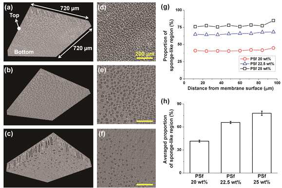 a), b), c)는 각각 20, 22.5, 25 wt% 지지층의 3차원 이미지에 해당함. d),e), f)는 각각 20, 22.5, 25 wt% 샘플의 바닥면의 단층 이미지에 해당함. g)와 h)는 각각 깊이에 따른 sponge-like region의 비율과 평균 sponge-like region의 비율을 나타냄