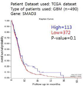 Smad3 발현에 따른 신경교종 환자 survival