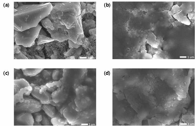 SiO/C 음극의 FE-SEM 표면형상
