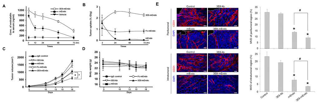 Endostain-TAG-72 항체 융합단백질의 암세포 특이적 타겟팅 및 암혈관억제를 통한 종양저해 효능