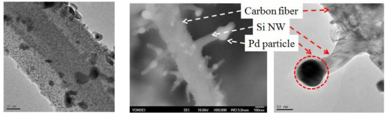 (a) Pd doped 탄소 파이버 (b) Si 나노선을 성장시킨 탄소 파이버