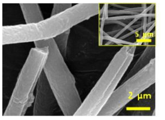 Si@Carbon 파이버의 SEM 분석