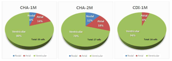 CHA-CMs (분화 1달, 2달) 및 CDI-CMs의 활동전위에 따른 세포 비율