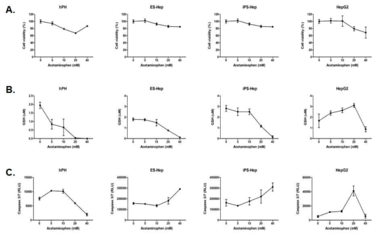 양성대조물질 acetaminophen에 의한 세포독성(A), glutathione (GSH) depletion(B), apoptosis(C) 여부 검증