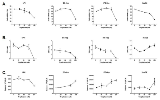 양성대조물질 troglitazone에 의한 세포독성(A), glutathione (GSH) depletion(B), apoptosis(C) 여부 검증