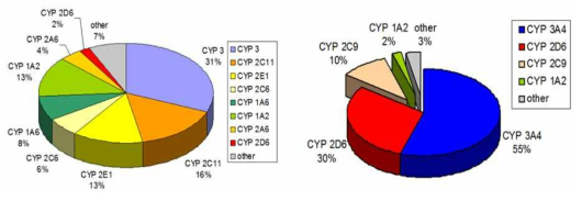 서양인 간세포의 CYP450 단백질 발현 분포도와 약물 대사 시 CYP450의 활성화 분포도