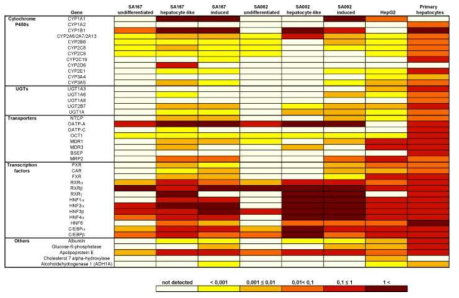 스웨덴의 Johansson 그룹의 인간배아줄기세포 유래 간세포에서의 CYPs, UGTs transporters의 mRNA 발현 비교