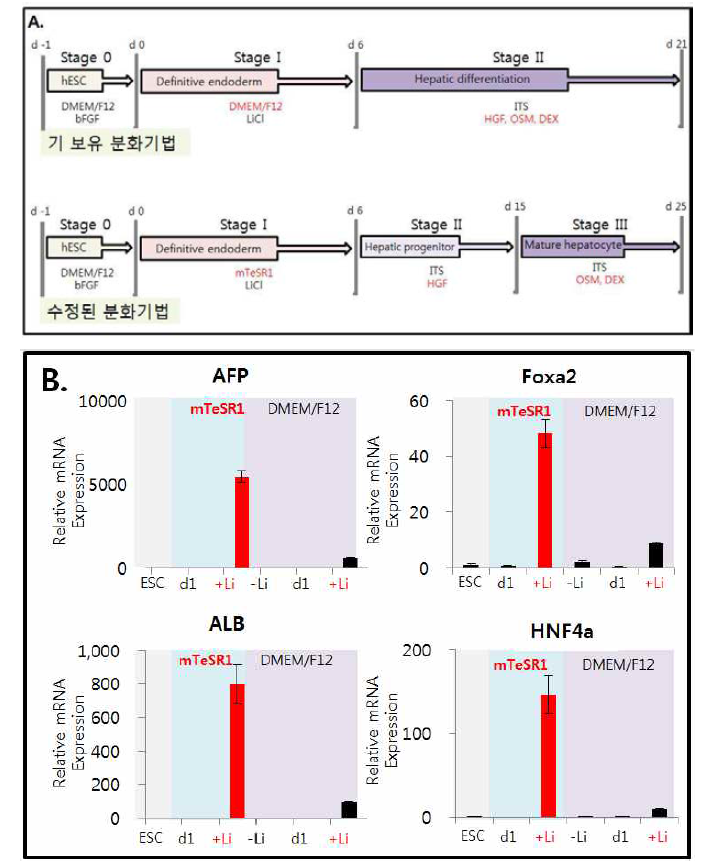 (A) 기 보유 분화 기법과 수정된 분화기법에 대한 모식도 (B) 리튬의 유무와 기본 배지의 차이에 따른 간내배엽 발달과 관련한 유전자의 real-time PCR