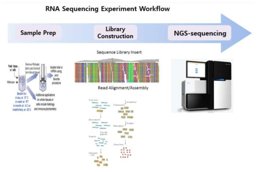 RNA-seq 워크플로우