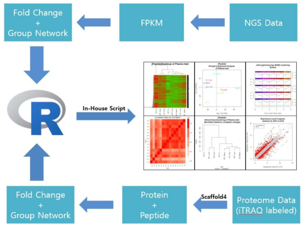 NGS 데이터와 Proteome 데이터 분석 오버플로우