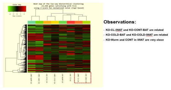 Heatmap of the two-way Hierarchial Clustering