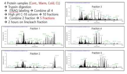 Chromatograms of Quantitative iTRAQ analysis of Proteins