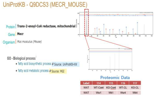 Enrichment Analysis of KO-CL Related Proteins(3)