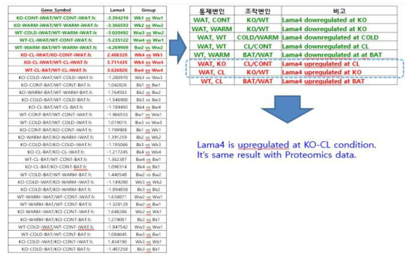 Enrichment Analysis of KO-CL Related Proteins(5)