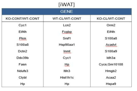 Top10 Up-Regulated Proteome List