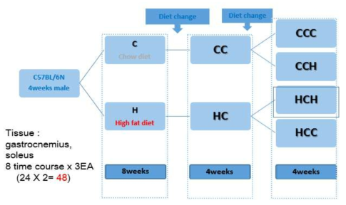 RNA-seq 분석 Scheme