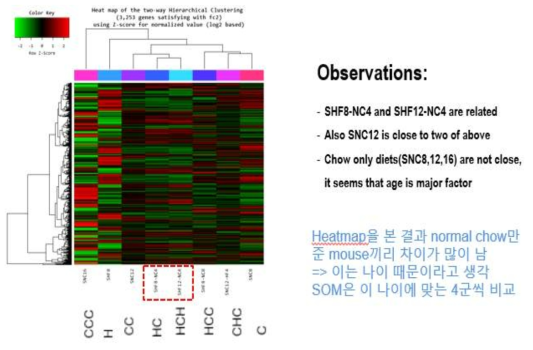 Heatmap of the two-way Hierarchical Clustering