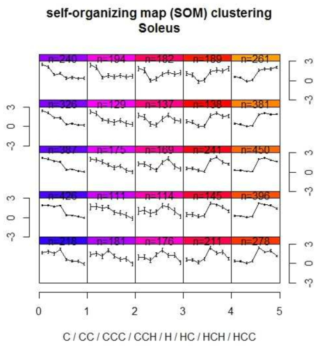 Self-Organizing map(SOM) clustering of Soleus