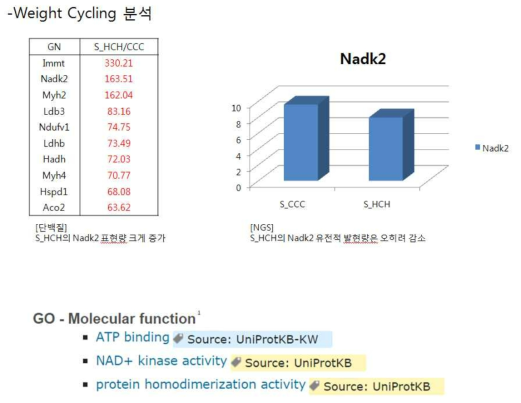 Weight cycling 분석 Scheme 예시