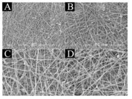 SEM images of electrospun PLGA/HAp nanofibers from different amounts of Hap, (A) 0.5, (B) 1, (C) 1.5, (D) 2 wt %.