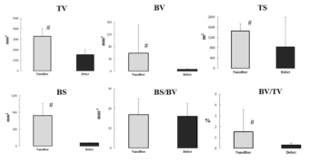 Bone parameters of 3D micro-CT analysis