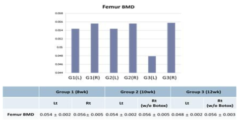 역학적 부하 감소 전후의 양측 하지의 골량 비교