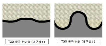 차세대 TBC시스템 설계기준