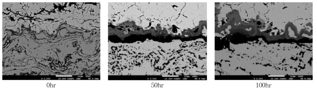 차세대 TBC시스템(OCD 코팅)의 열화에 따른 계면형상 분석결과(1100℃)