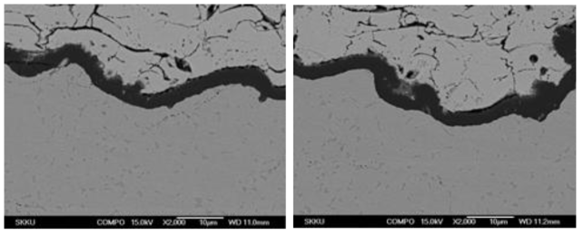 기존 TBC시스템의 계면형상 분석결과(1100℃, 50hr)